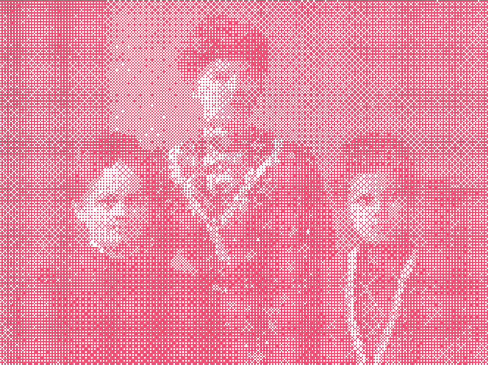 Portret trzech kobiet z początku XX wieku, ubranych w eleganckie długie suknie. Wszystkie kobiety mają upięte włosy. Dwie siedzą przy stole, jedna stoi pomiędzy nimi. Na stole leży obrus i stare pisma. Zdjęcie wykonane w atelier fotograficznym. Link do strony z artykułem zainspirowanym Zbiorami Społecznymi