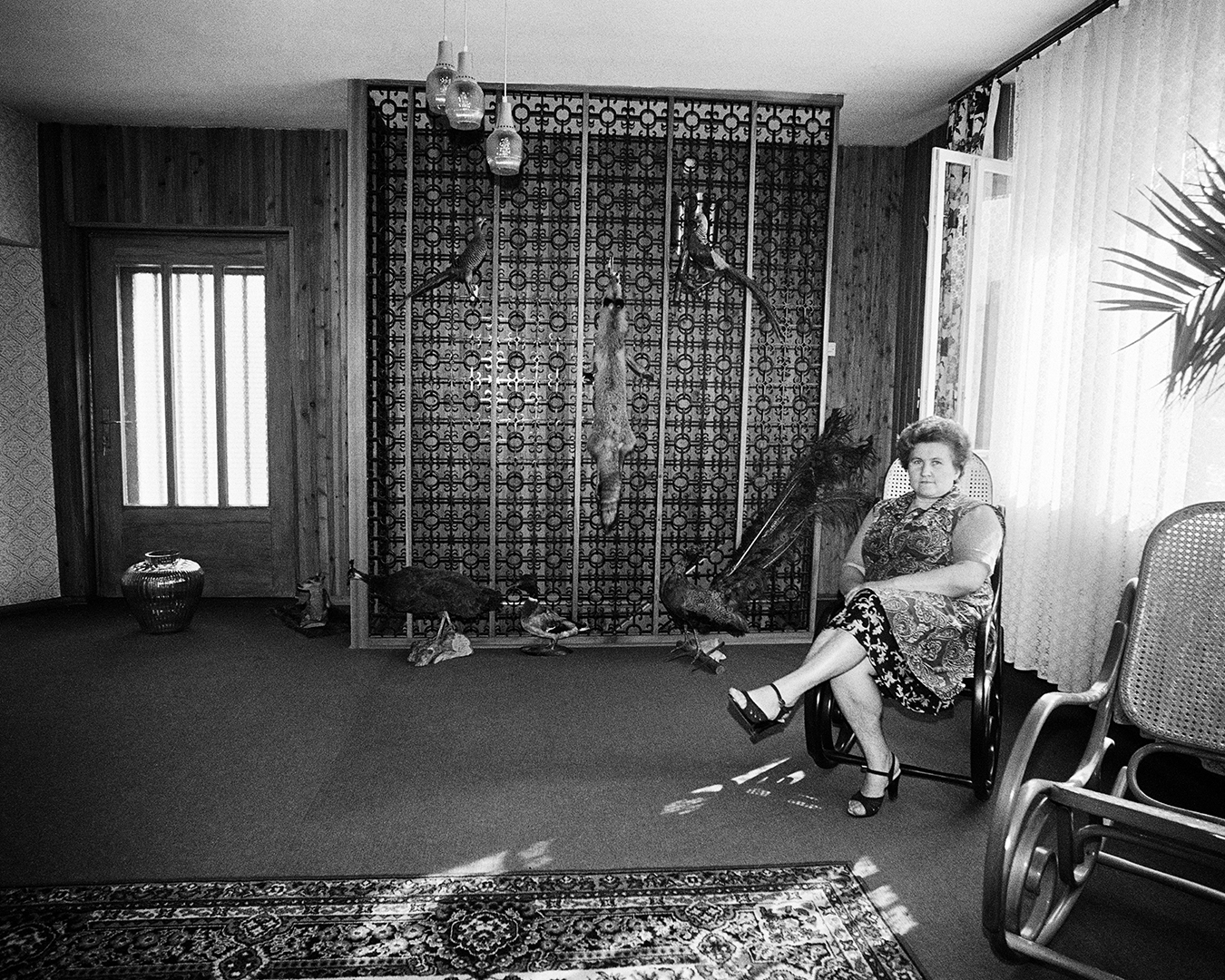 Pani Zofia Rydet siedząca na bujanym fotelu