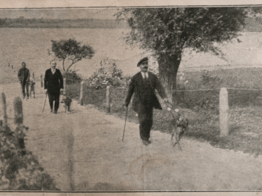 Trzech mężczyzn spacerujących ścieżką wzdłuż jeziora z dwoma psami, otoczonych drzewami i roślinnością.